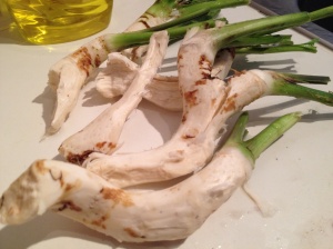 Cleaned horseradish ready to be frozen